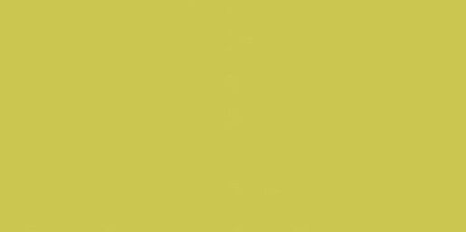 Obklad Rako Color One žlutozelená 20x40 cm mat WAAMB464.1 (bal.1,600 m2) - Siko - koupelny - kuchyně