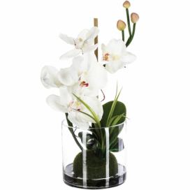 Atmosphera Umělá orchidej v skleněné váze, 37 x 18 cm