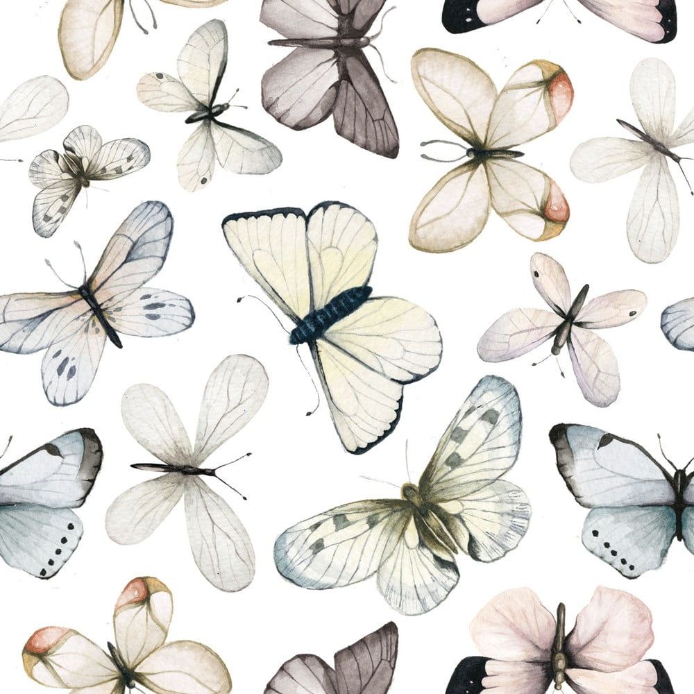 Nástěnná tapeta s motivem motýlů Dekornik Butterflies - Bonami.cz