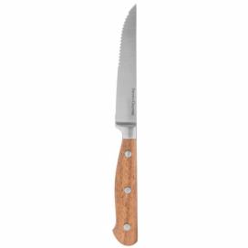 Secret de Gourmet Steakový nůž z nerezové oceli ElegANCIS, 24 cm