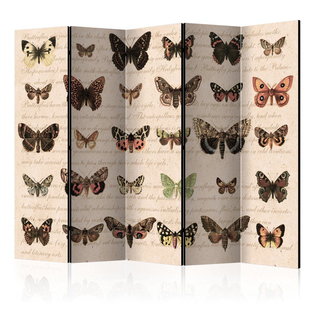 Paraván Retro Style: Butterflies Dekorhome 225x172 cm (5-dílný) - DEKORHOME.CZ