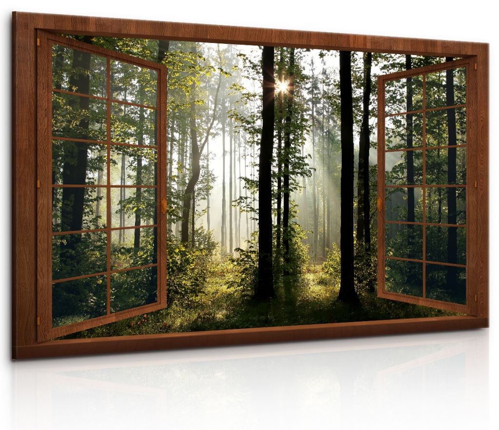 3D obraz dřevěné okno do lesa Velikost (šířka x výška): 120x80 cm - S-obrazy.cz