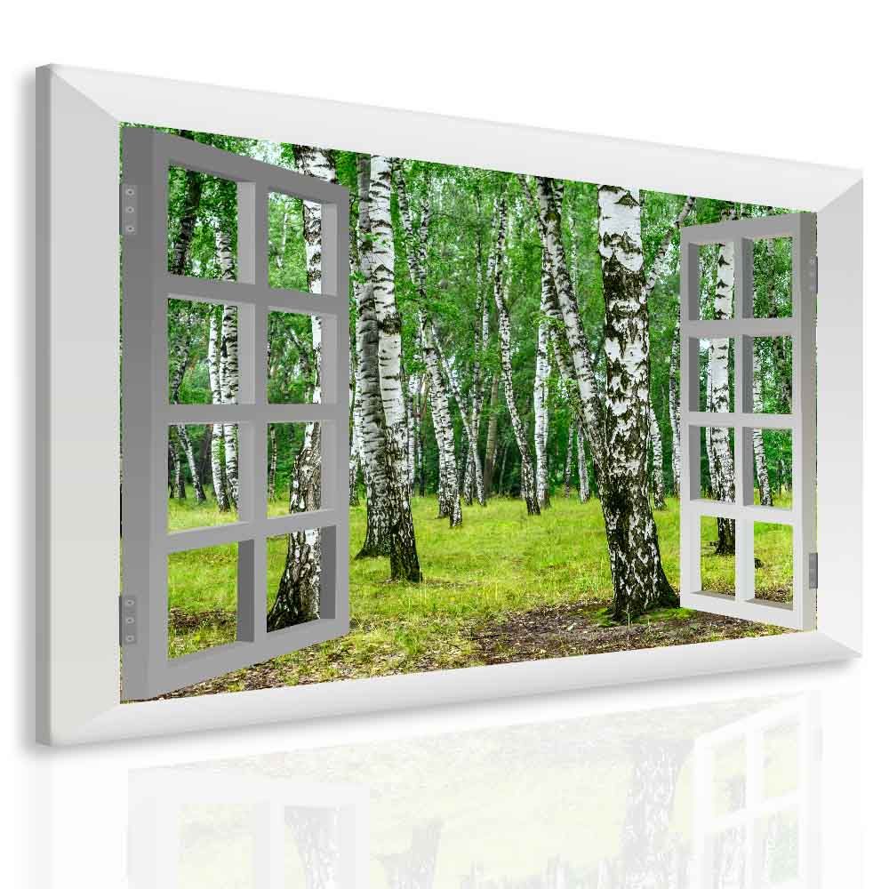 3D obraz okno břízy Velikost (šířka x výška): 120x110 cm - S-obrazy.cz