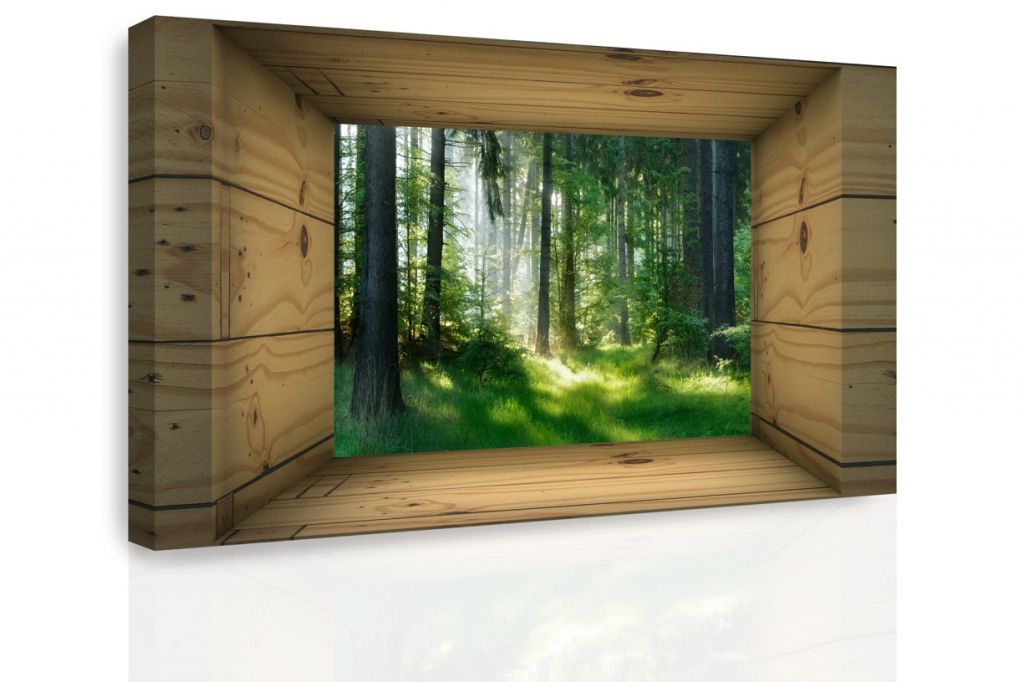 3D obraz výhled do lesa Velikost (šířka x výška): 90x60 cm - S-obrazy.cz