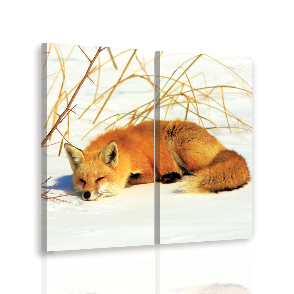 Dvoudílný obraz liška Velikost (šířka x výška): 60x60 cm - S-obrazy.cz