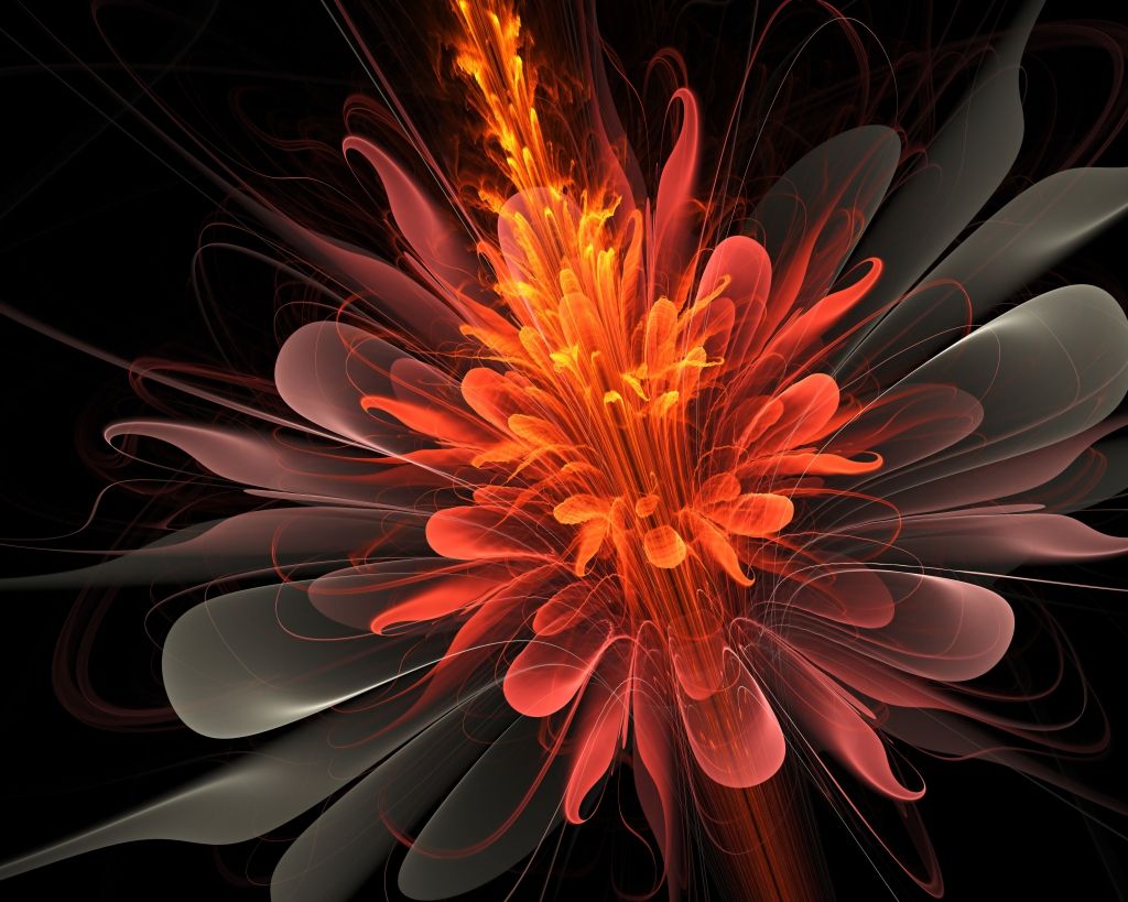 Obraz abstraktní květ Velikost (šířka x výška): 90x60 cm - S-obrazy.cz