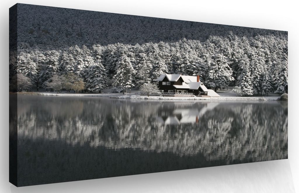 Obraz dům u jezera Velikost (šířka x výška): 90x60 cm - S-obrazy.cz