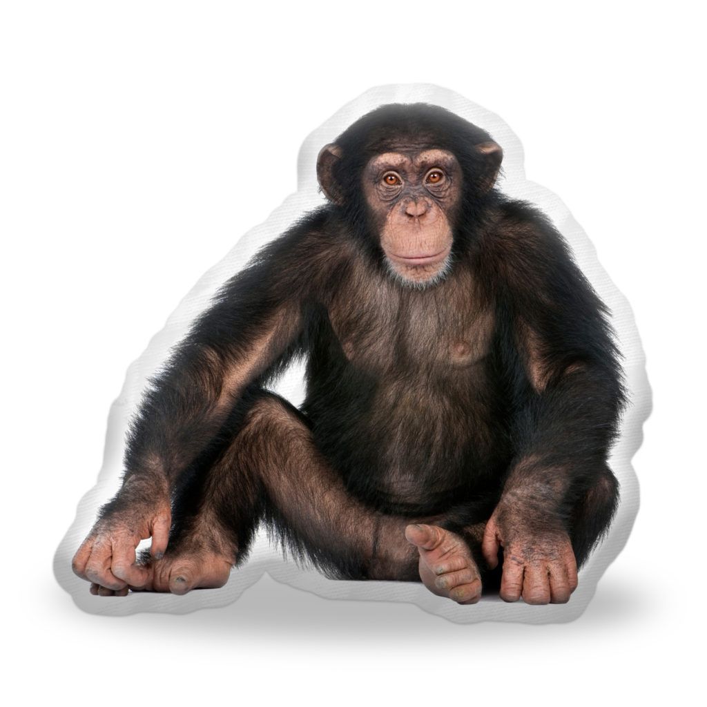 Polštář 3D SABLIO - Šimpanz - E-shop Sablo s.r.o.