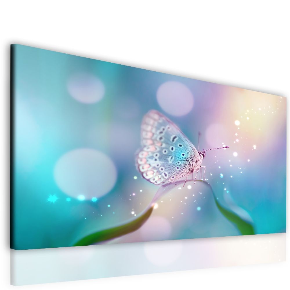 Obraz motýlí třpyt Velikost (šířka x výška): 90x60 cm - S-obrazy.cz
