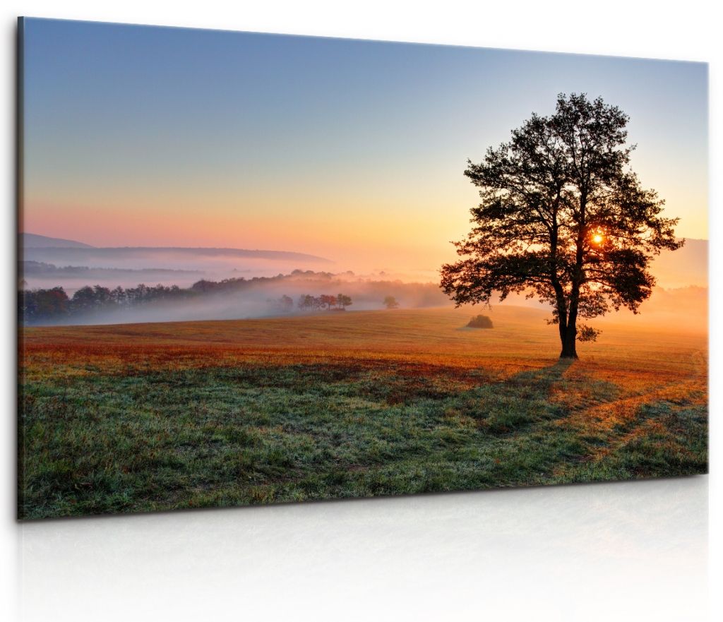 Obraz strom v mlze Velikost (šířka x výška): 90x60 cm - S-obrazy.cz