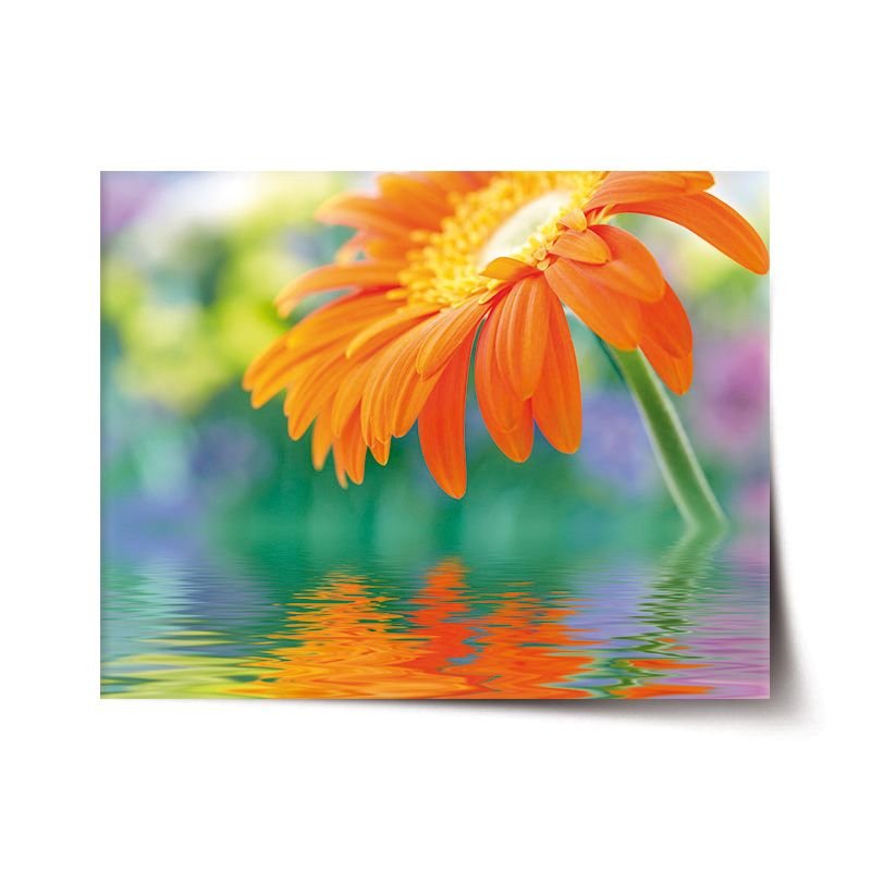 Plakát SABLIO - Oranžová gerbera 60x40 cm - E-shop Sablo s.r.o.