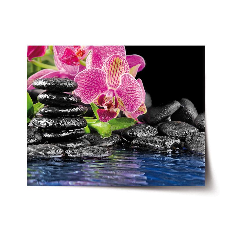 Plakát SABLIO - Orchidej na kamenech 60x40 cm - E-shop Sablo s.r.o.