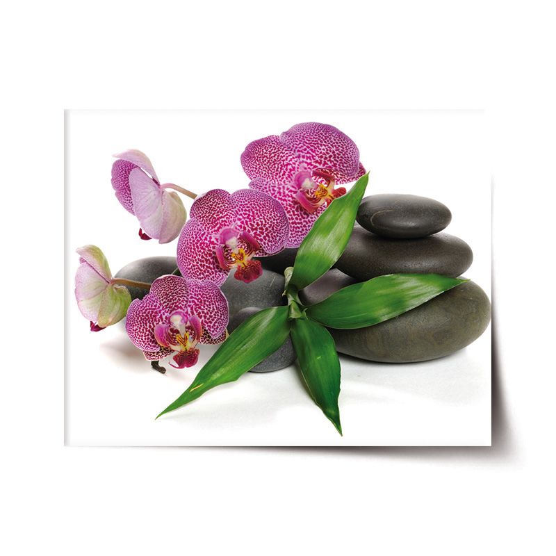 Plakát SABLIO - Orchideje a kameny 60x40 cm - E-shop Sablo s.r.o.