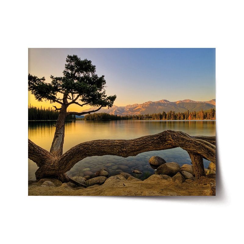 Plakát SABLIO - Strom u jezera 60x40 cm - E-shop Sablo s.r.o.