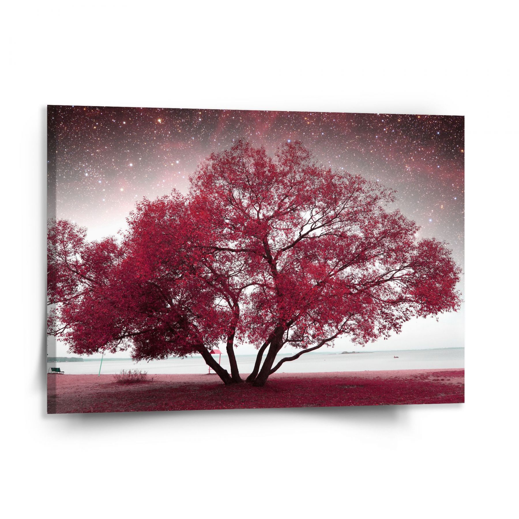 Obraz SABLIO - Červený strom 150x110 cm - E-shop Sablo s.r.o.