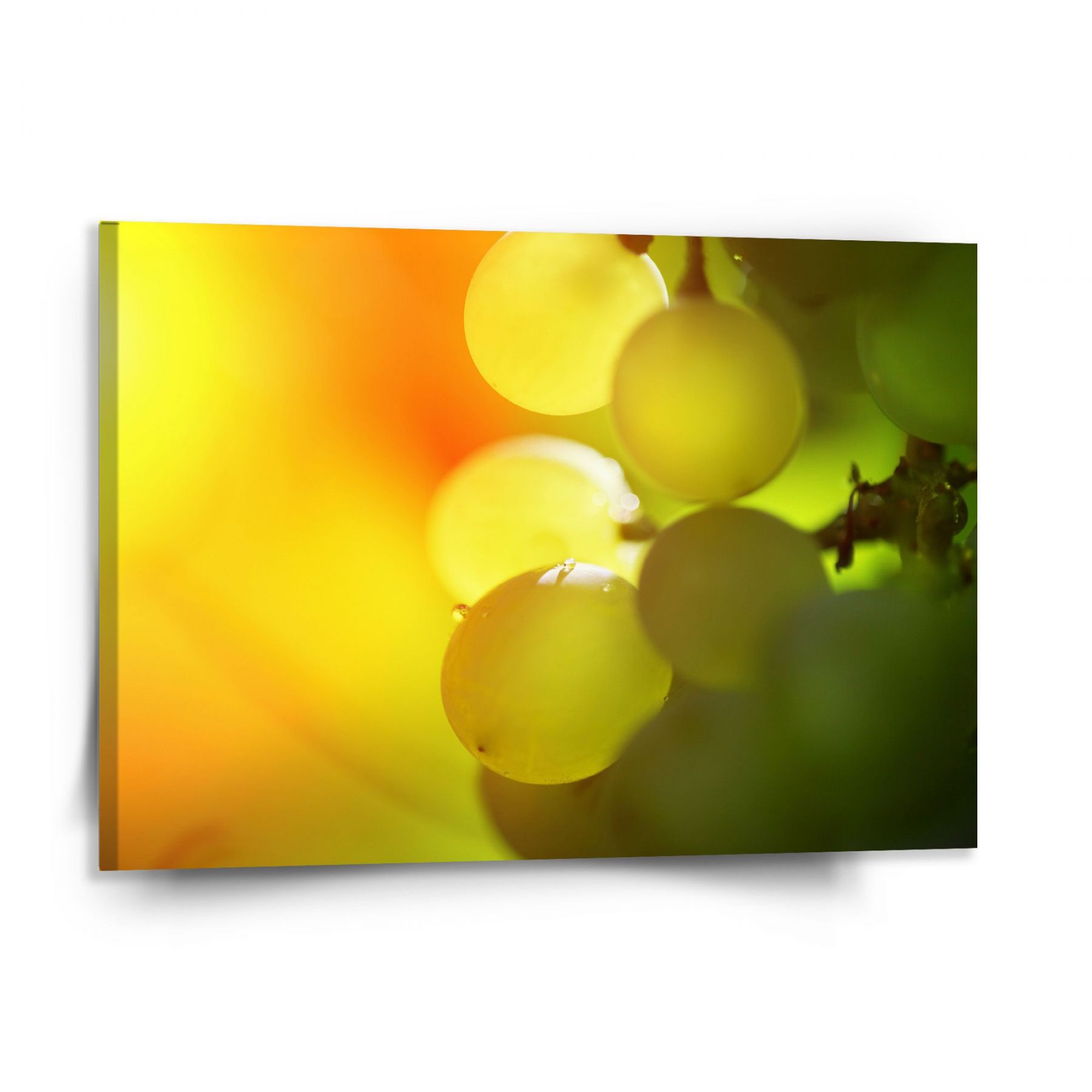 Obraz SABLIO - Hroznové víno 150x110 cm - E-shop Sablo s.r.o.