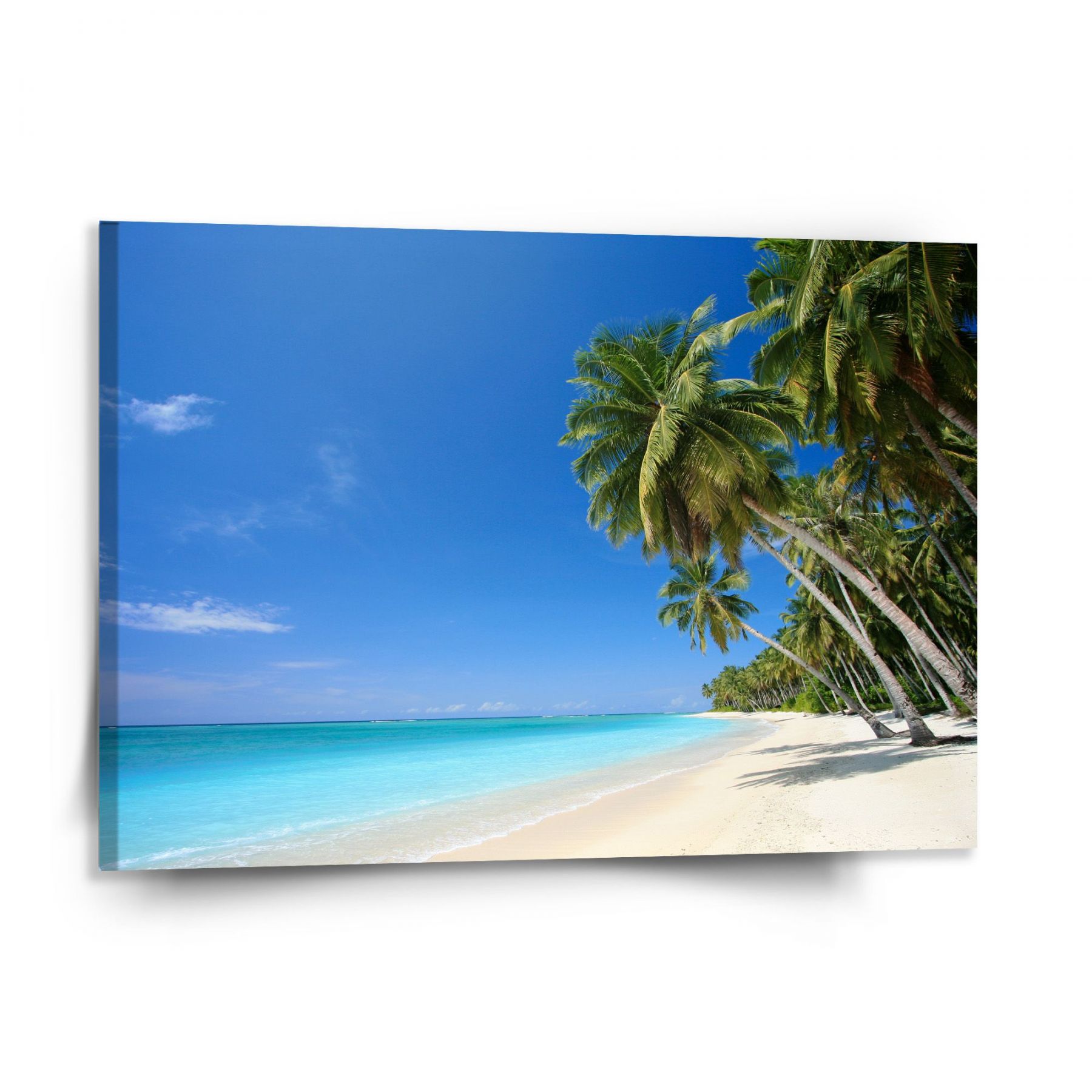 Obraz SABLIO - Palmová pláž 150x110 cm - E-shop Sablo s.r.o.