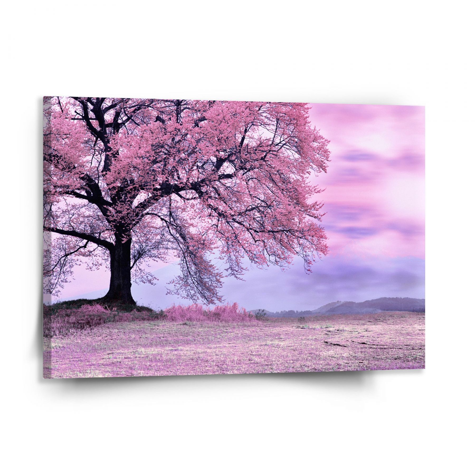 Obraz SABLIO - Růžový strom 150x110 cm - E-shop Sablo s.r.o.