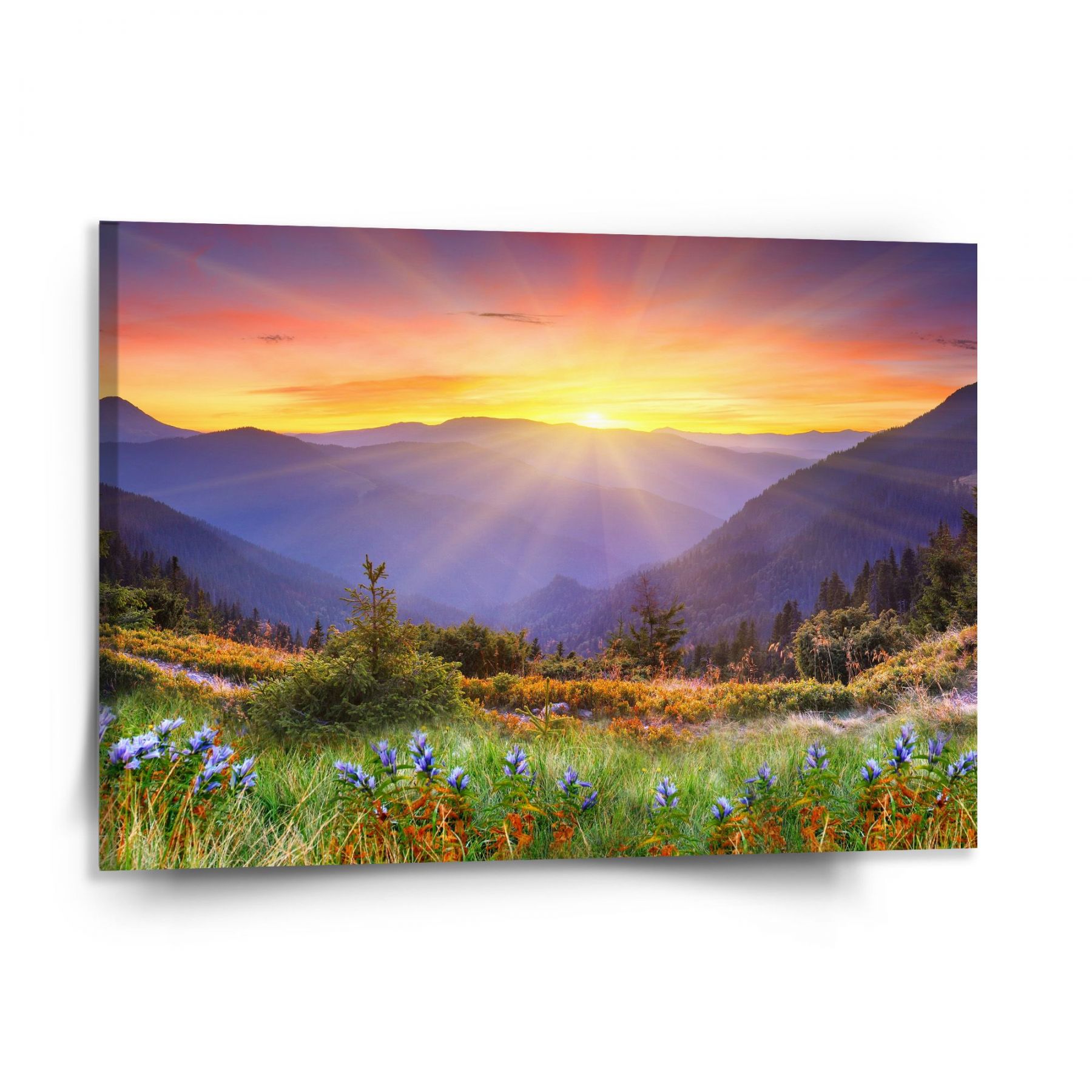 Obraz SABLIO - Západ slunce nad lesem 150x110 cm - E-shop Sablo s.r.o.