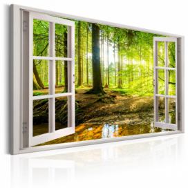 3D obraz okno Velikost (šířka x výška): 90x60 cm