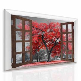 3D obraz okno k podzimu Velikost (šířka x výška): 130x110 cm