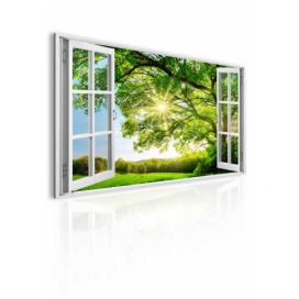 3D obraz okno- obrovský strom Velikost (šířka x výška): 120x80 cm S-obrazy.cz
