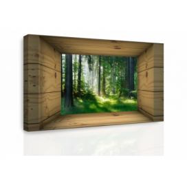 3D obraz výhled do lesa Velikost (šířka x výška): 90x60 cm S-obrazy.cz