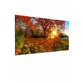 Jednodílný obraz podzimní les Velikost (šířka x výška): 120x60 cm
