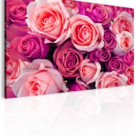 Obraz květy růží Velikost (šířka x výška): 90x60 cm S-obrazy.cz