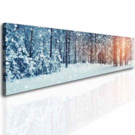 Obraz Les v zimě Velikost (šířka x výška): 160x40 cm S-obrazy.cz