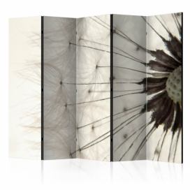 Artgeist Paraván - White Dandelion II [Room Dividers] Velikosti (šířkaxvýška): 225x172