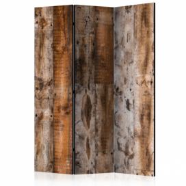 Artgeist Paraván - Antique Wood [Room Dividers] Velikosti (šířkaxvýška): 135x172