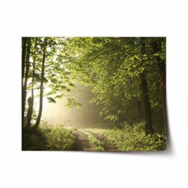 Plakát SABLIO - Lesní cesta 60x40 cm