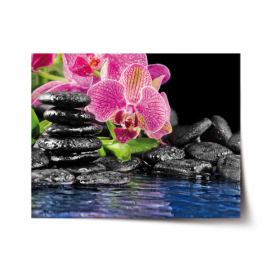 Plakát SABLIO - Orchidej na kamenech 60x40 cm