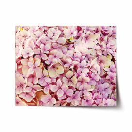 Plakát SABLIO - Růžové květy 60x40 cm