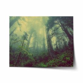Plakát SABLIO - Temný les 60x40 cm