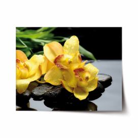 Plakát SABLIO - Žluté orchideje 60x40 cm