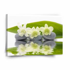 Obraz SABLIO - Bílá orchidej 150x110 cm