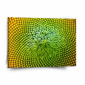 Obraz SABLIO - Detailní květ 150x110 cm