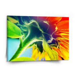Obraz SABLIO - Duhová květina 150x110 cm