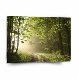 Obraz SABLIO - Lesní cesta 50x50 cm