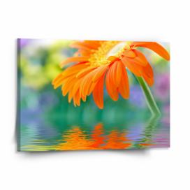Obraz SABLIO - Oranžová gerbera 150x110 cm