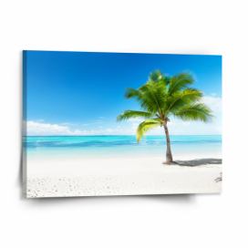 Obraz SABLIO - Palma na pláži 150x110 cm
