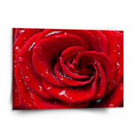 Obraz SABLIO - Růže 150x110 cm