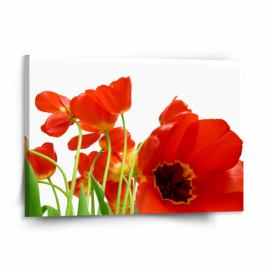 Obraz SABLIO - Tulipány 150x110 cm