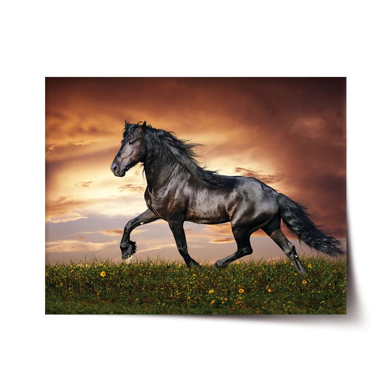 Plakát SABLIO - Friský kůň 60x40 cm - E-shop Sablo s.r.o.
