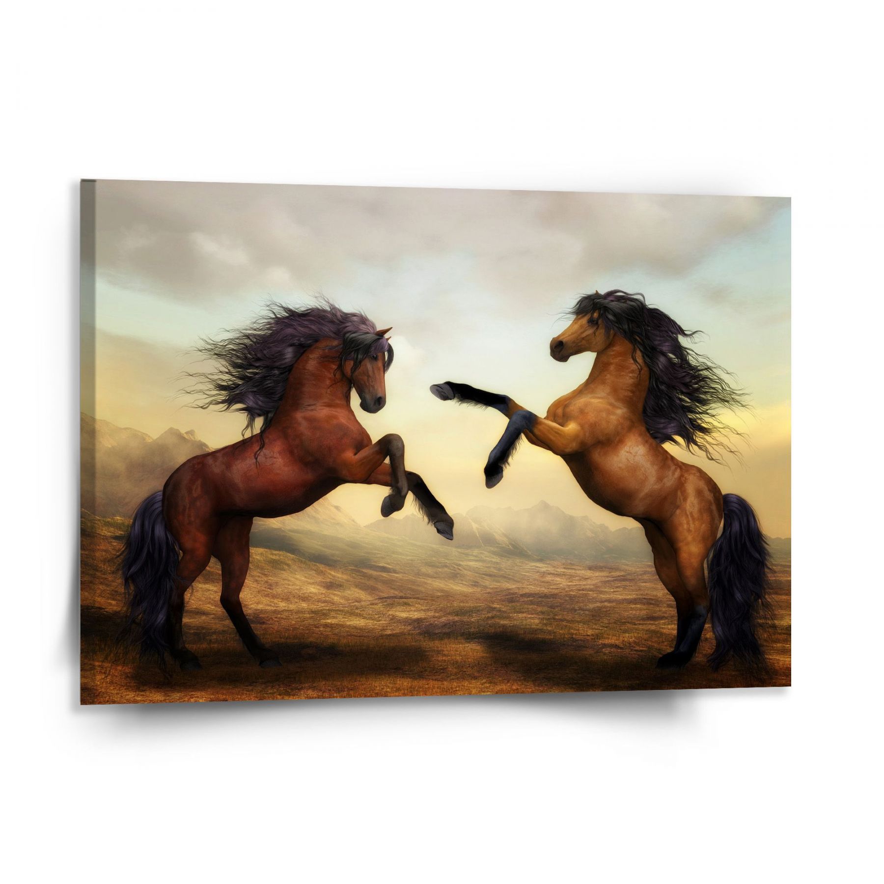 Obraz SABLIO - Vzpínající se koně 150x110 cm - E-shop Sablo s.r.o.