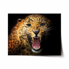 Plakát SABLIO - Gepard 2 60x40 cm