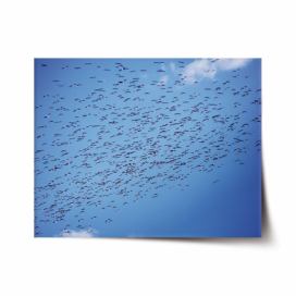 Plakát SABLIO - Hejno ptáků 60x40 cm