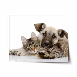 Plakát SABLIO - Kočička a štěňátko 60x40 cm